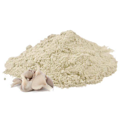 Mushrooms_Sadafi_Poodr_2