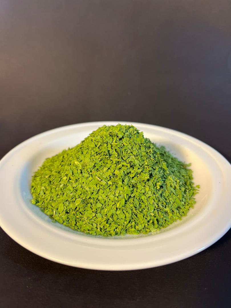 WhatsApp Image 2022-01-05 at 3.37.48 PM