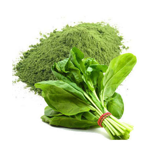 spray-dried-spinach-powder-500x500